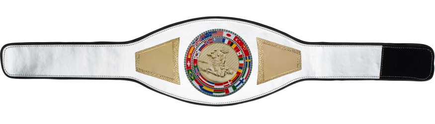MMA CHAMPIONSHIP BELT-PROFLAG2/FLAG/G/MMAG - AVAILABLE IN A VARIETY OF COLOURS MMA CHAMPIONSHIP BELT-PROFLAG2/FLAG/G/MMAG - AVAILABLE IN A VARIETY OF COLOURS